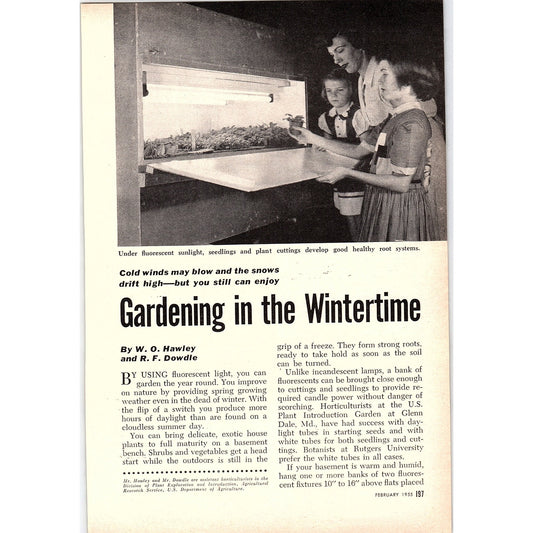 Gardening in the Wintertime W.O. Hawley R.F. Dowdle 2-Page 1955 Article AG1-4