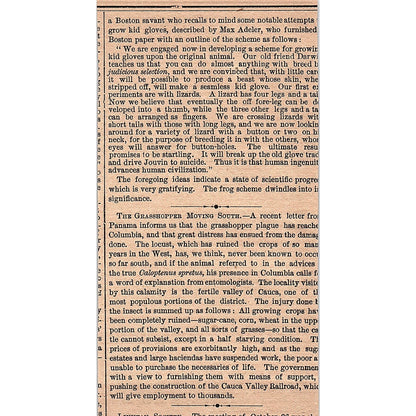 Something About Archery Roger Ascham 3 Pages 1878 Article AG2-7