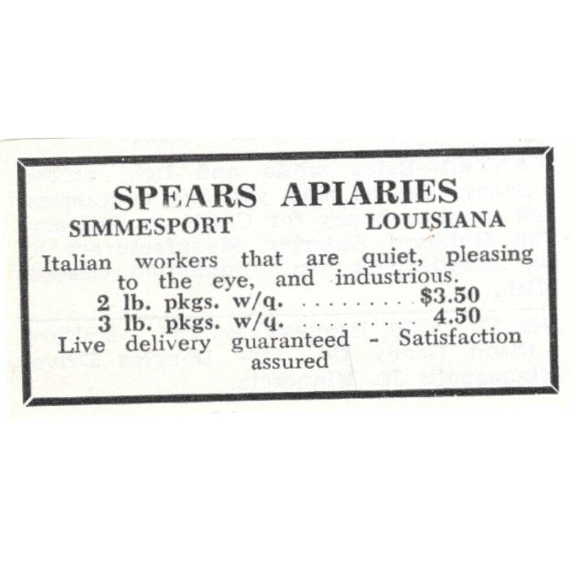 Spears Apiaries Simmesport Louisiana 1961 Magazine Ad AK6-S13