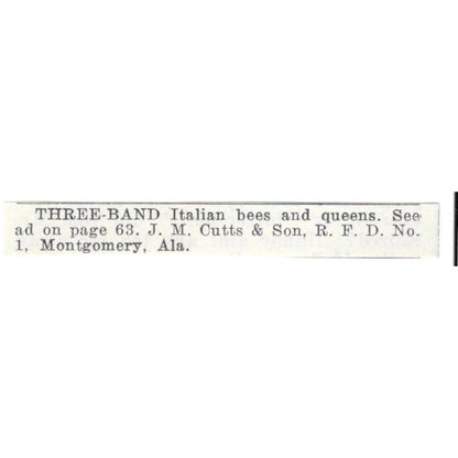 J.M. Cutts & Son Three-Band Italian Bees Montgomery AL 1926 Ad AG3-S21