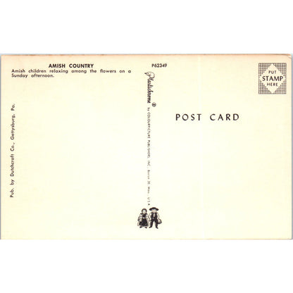 Amish Children Relaxing Pennsylvania Dutch Country Vintage Postcard PD5