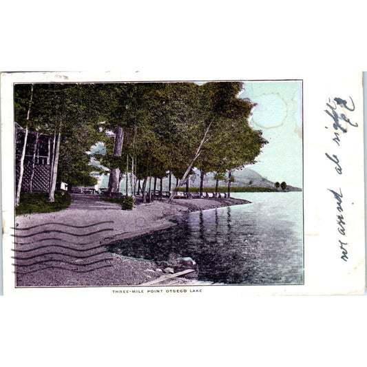 c1905 Three-Mile Point Otsego Lake NY Original Postcard PC9