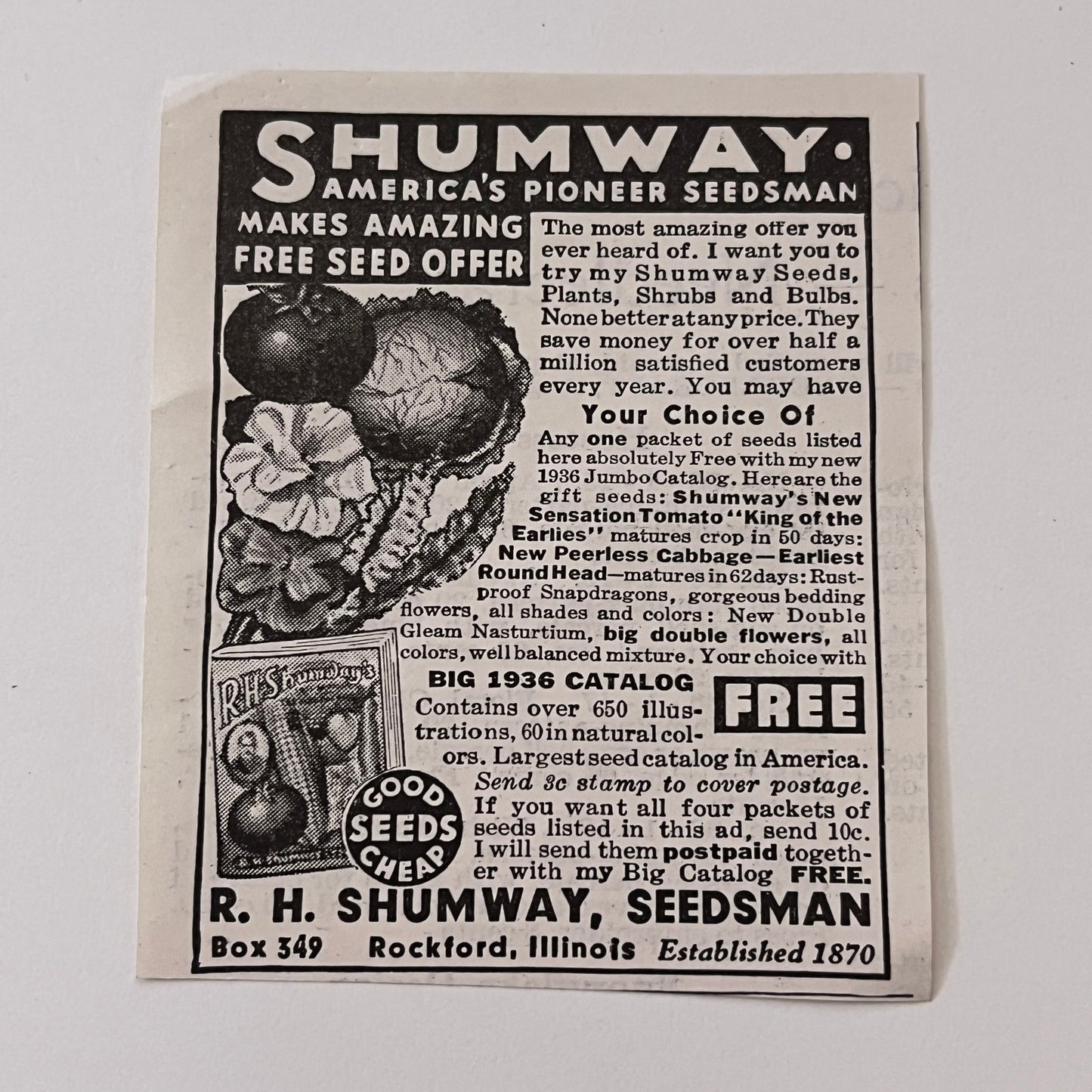 R.H. Shumway, Seedsman America's Pioneer Seedsman Rockford IL 1936 Ad SAG4-M4