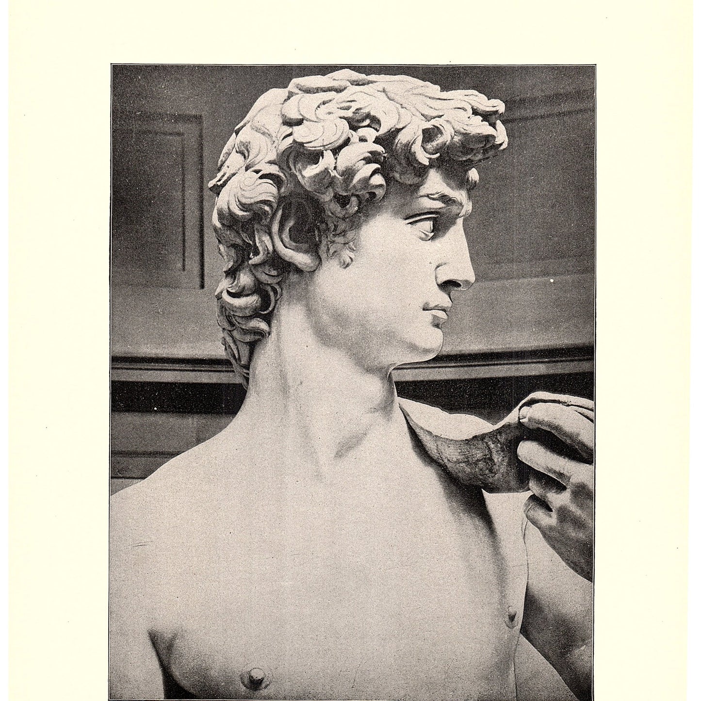 Head of David - Michelangelo - 1898 Litho Art Print D19