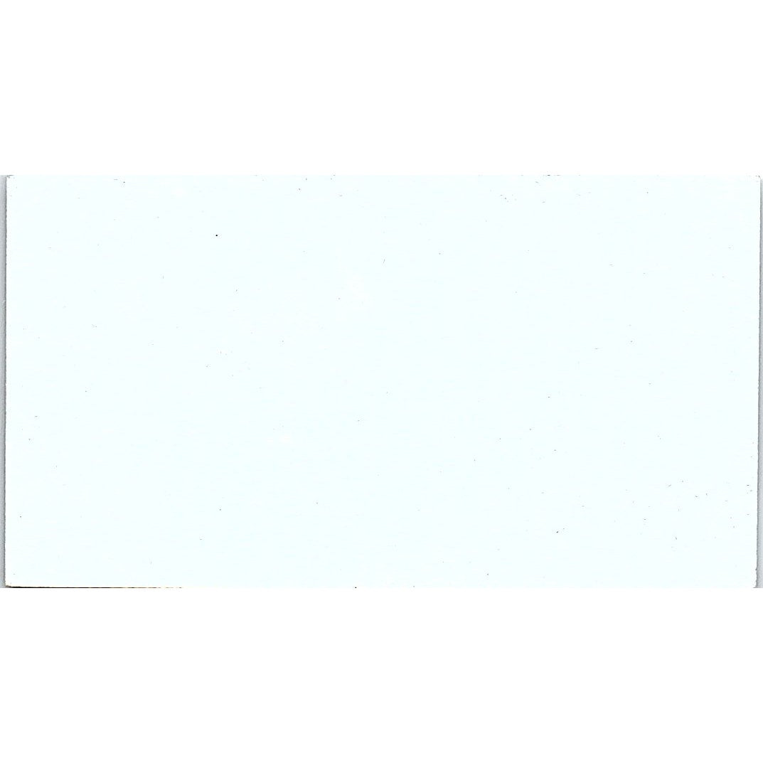 Austinova Cattery Russian Blues Ed & Carol Ducak Austin TX Business Card SD9-B14