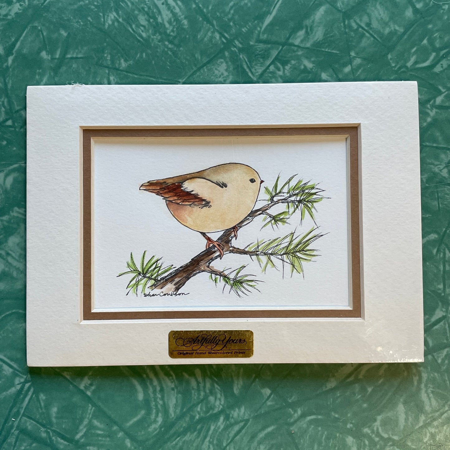 Chubby Tan Wren Bird 5x7 Matted Print Hand Watercolor, Signed Shar Coulson