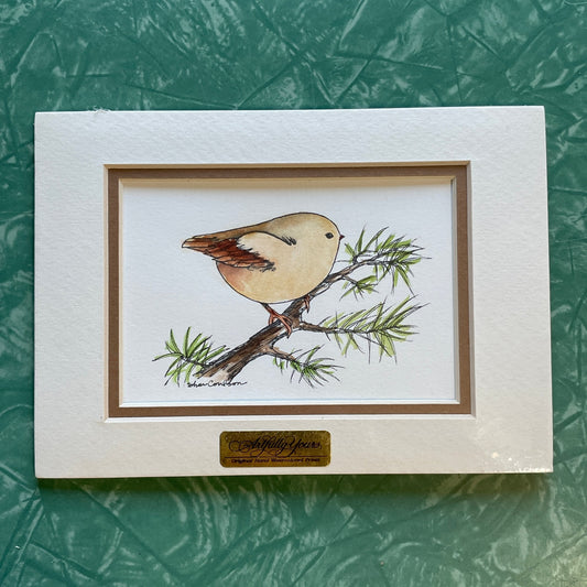Chubby Tan Wren Bird 5x7 Matted Print Hand Watercolor, Signed Shar Coulson