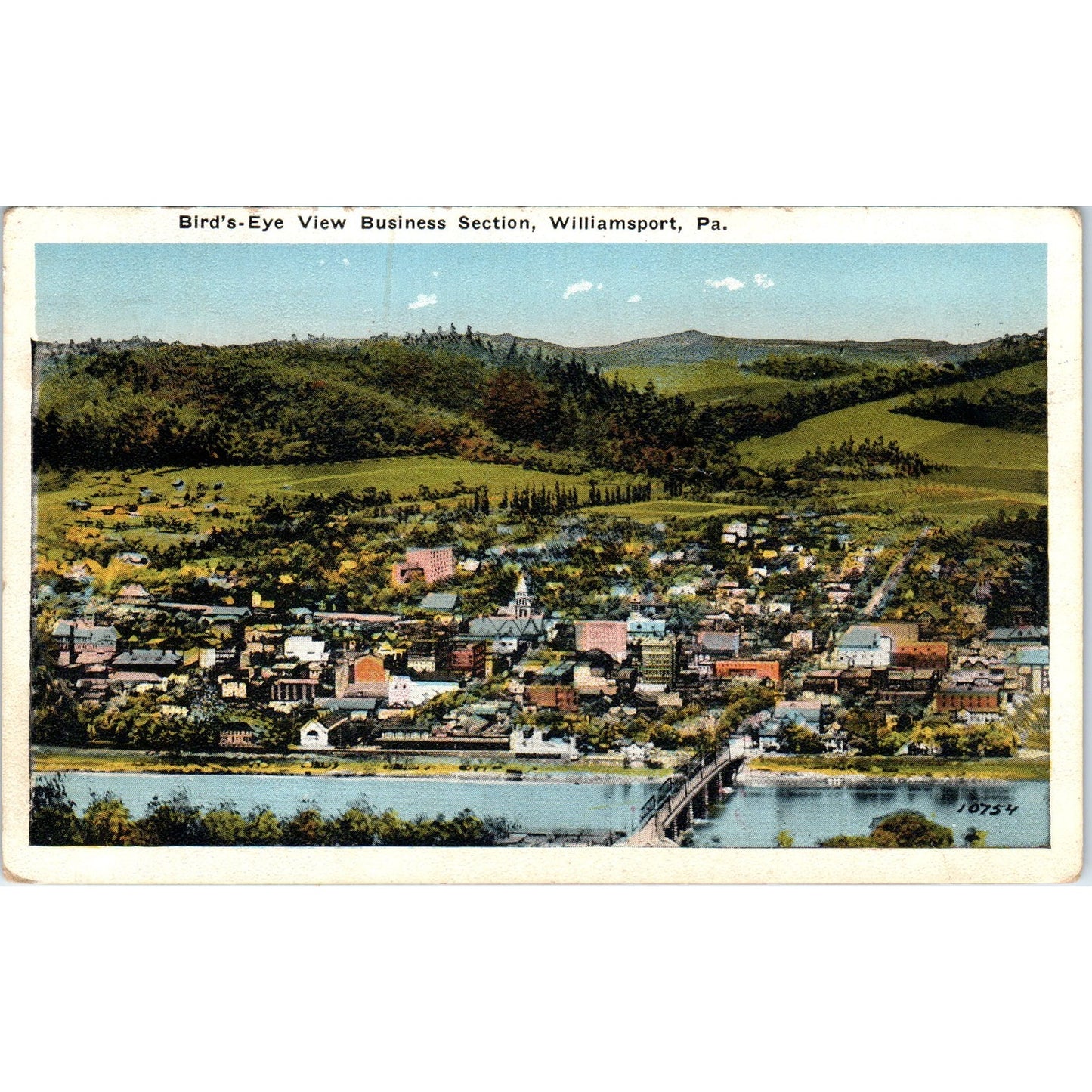 Bird's-Eye View Business Section Williamsport PA Vintage Postcard PD8