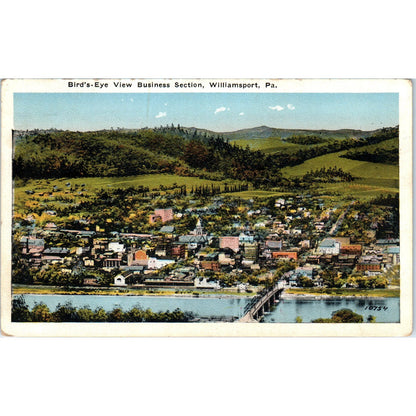 Bird's-Eye View Business Section Williamsport PA Vintage Postcard PD8