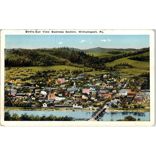 Bird's-Eye View Business Section Williamsport PA Vintage Postcard PD8