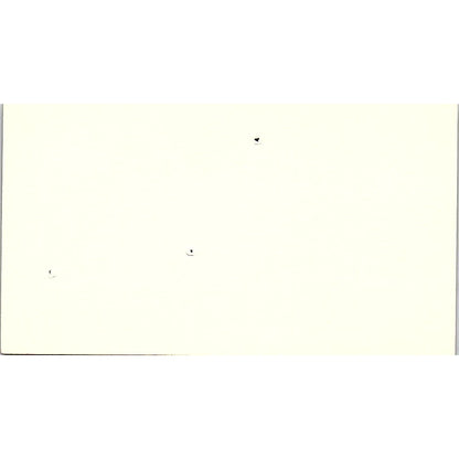 Tim Robertson Ribnick & Associates Inc Houston Vintage Business Card SE3-B16