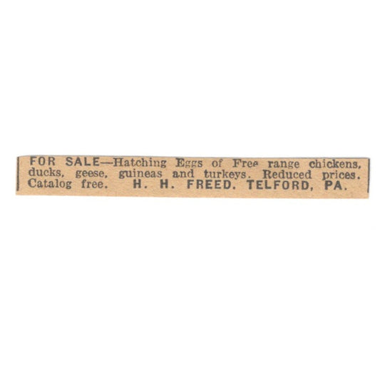 H.H. Freed Chickens Eggs Telford PA 1922 Magazine Ad AF2-T4