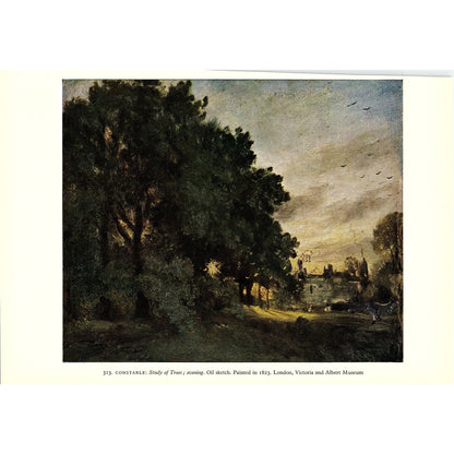 Constable - Study of Trees; Evening Vintage Art Print 6x9" V17