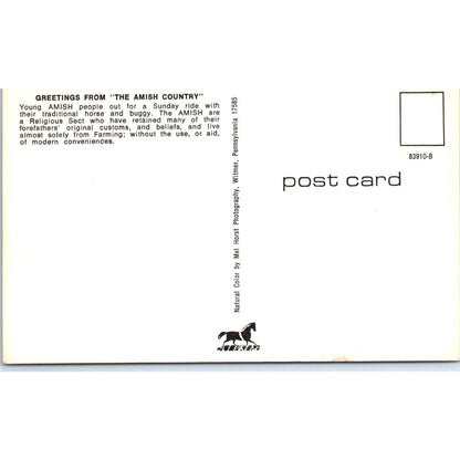 Amish People on Buggy Ride After Church Pennsylvania Dutch Country Postcard PD8