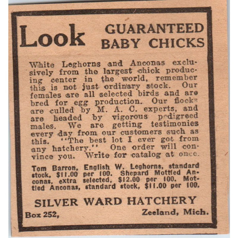 Silver Ward Hatchery Baby Chicks Zeeland Michigan 1922 Magazine Ad AF2-S8