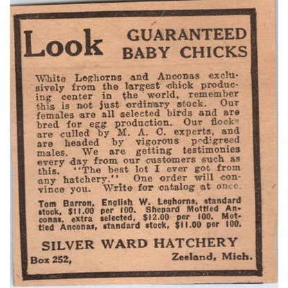 Silver Ward Hatchery Baby Chicks Zeeland Michigan 1922 Magazine Ad AF2-S8