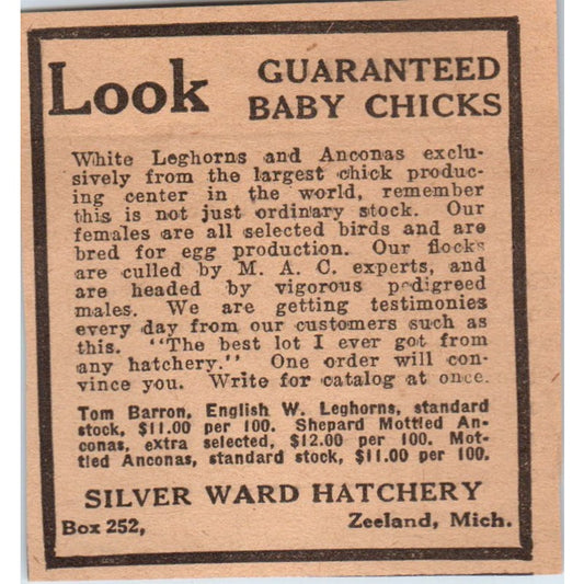 Silver Ward Hatchery Baby Chicks Zeeland Michigan 1922 Magazine Ad AF2-S8
