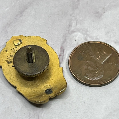 1950s US Civilian Civil Defense Atomic Age Duck & Cover Pin Pinback Button SB7