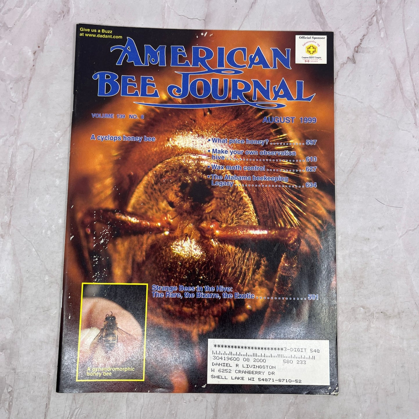 1999 Aug - American Bee Journal Magazine - Bees Beekeeping Honey M37