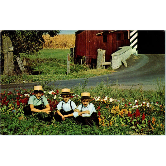 Amish Children Relaxing Pennsylvania Dutch Country Vintage Postcard PD5