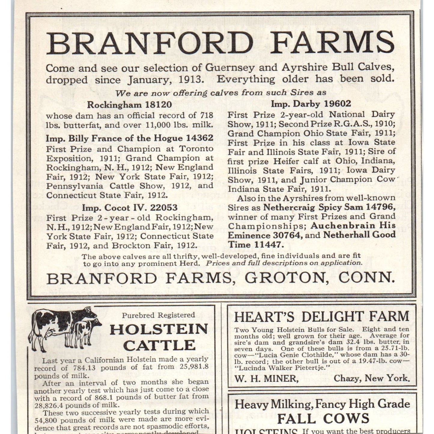 Purina Chicken Chowder St Louis MO 1913 Magazine Advertisement AE7-N7