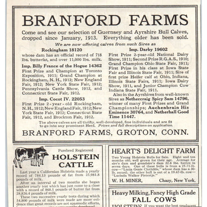 Purina Chicken Chowder St Louis MO 1913 Magazine Advertisement AE7-N7