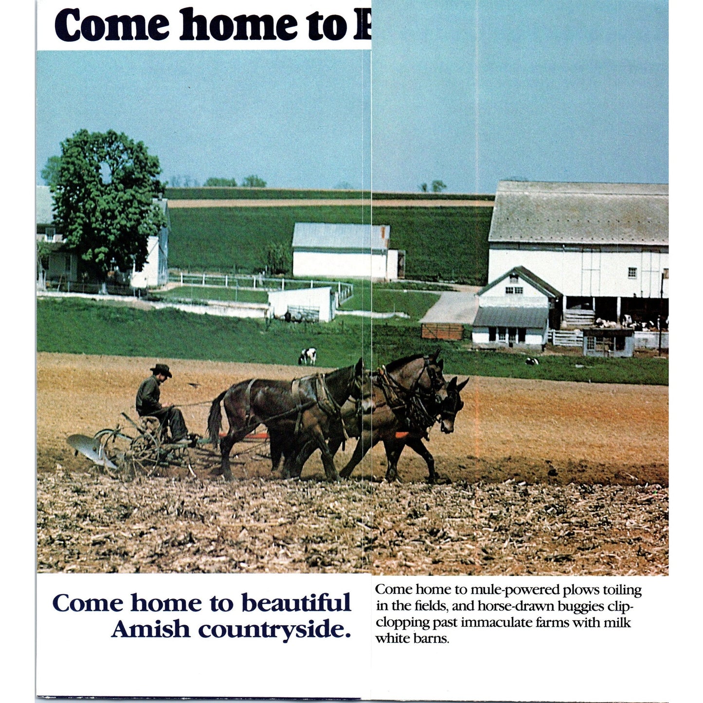 1970s Lancaster County Pennsylvania Dutch Country Travel Brochure TF4-BB