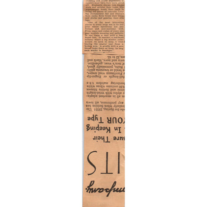 Zoo Doctors Face Challenges 1935 Minneapolis Journal Article AE7-N4
