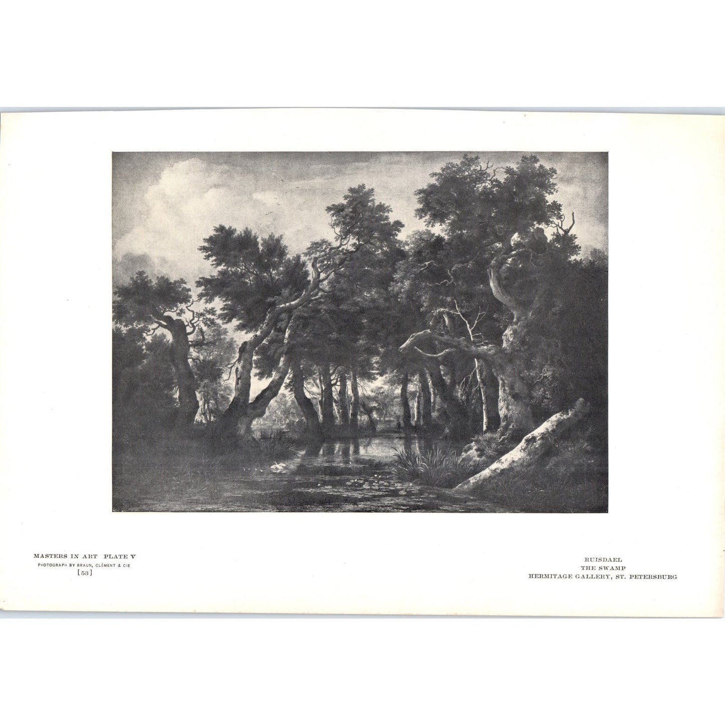 The Swamp - Ruisdael c1905 Art Print D13