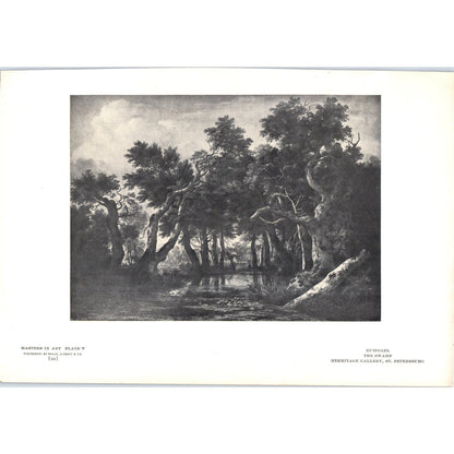 The Swamp - Ruisdael c1905 Art Print D13
