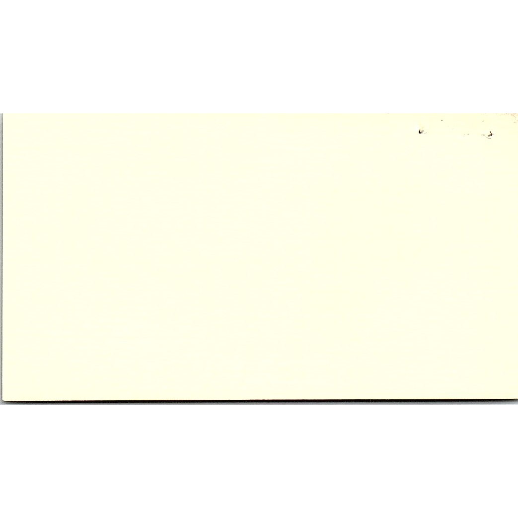 Michael A Mullen D.H. Blair & Co New York City Vintage Business Card SD9-B9