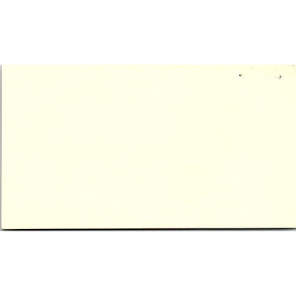 Michael A Mullen D.H. Blair & Co New York City Vintage Business Card SD9-B9