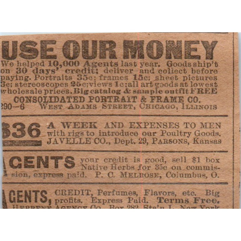 Free US Gov't Land - Southwest and California 1906 Original Ad AB6-CL1