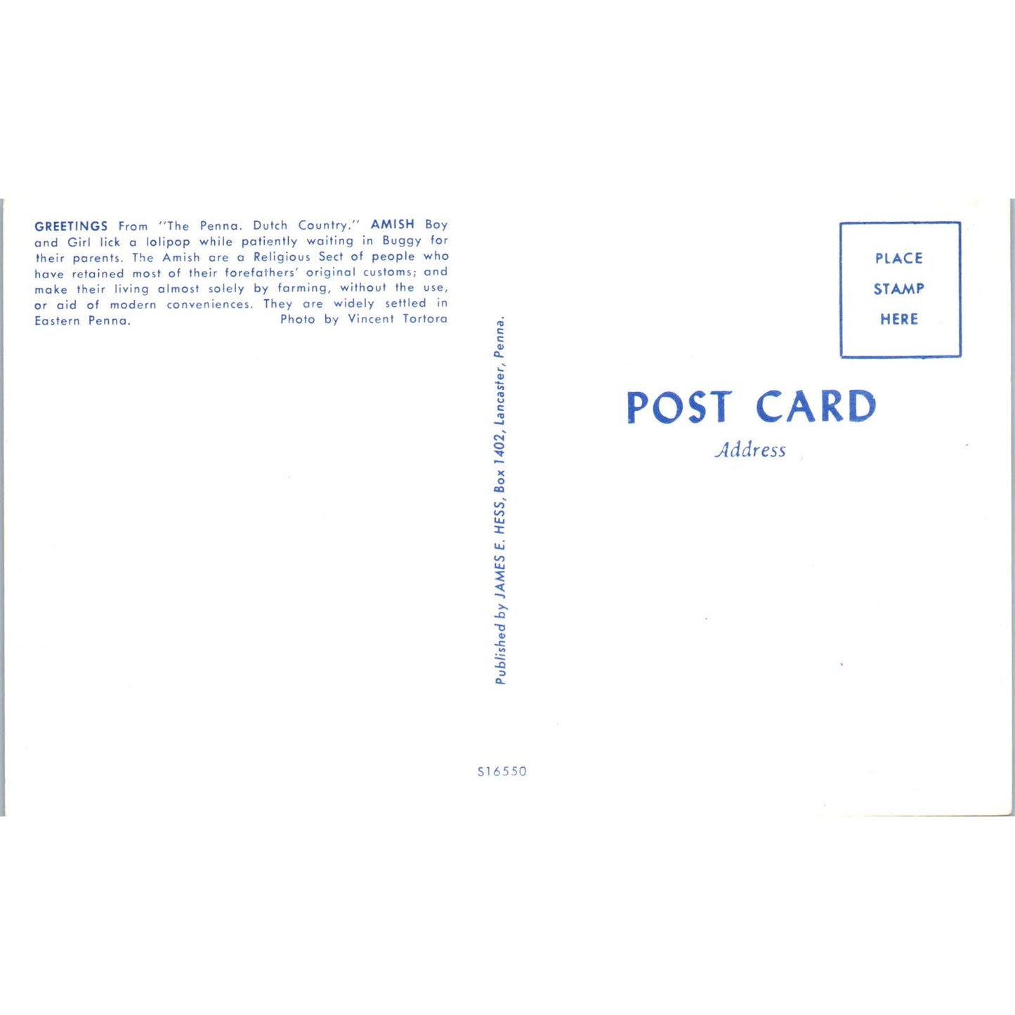 Amish Boy & Girl Lick a Lollipop Pennsylvania Dutch Country Vintage Postcard PD5