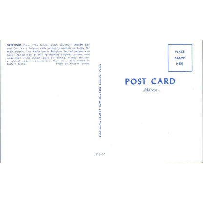 Amish Boy & Girl Lick a Lollipop Pennsylvania Dutch Country Vintage Postcard PD5