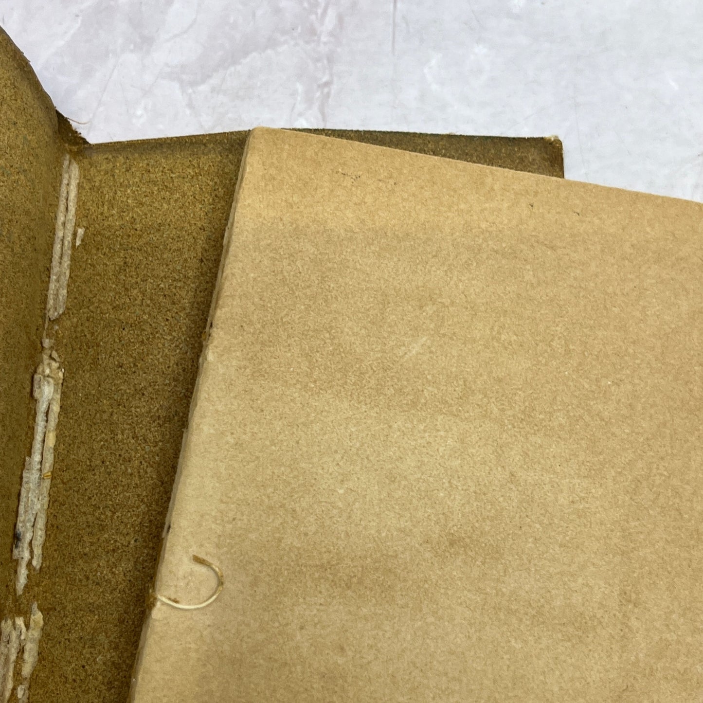 c1910 Little Leather Library Book Irish Melodies by Thomas Moore SD2