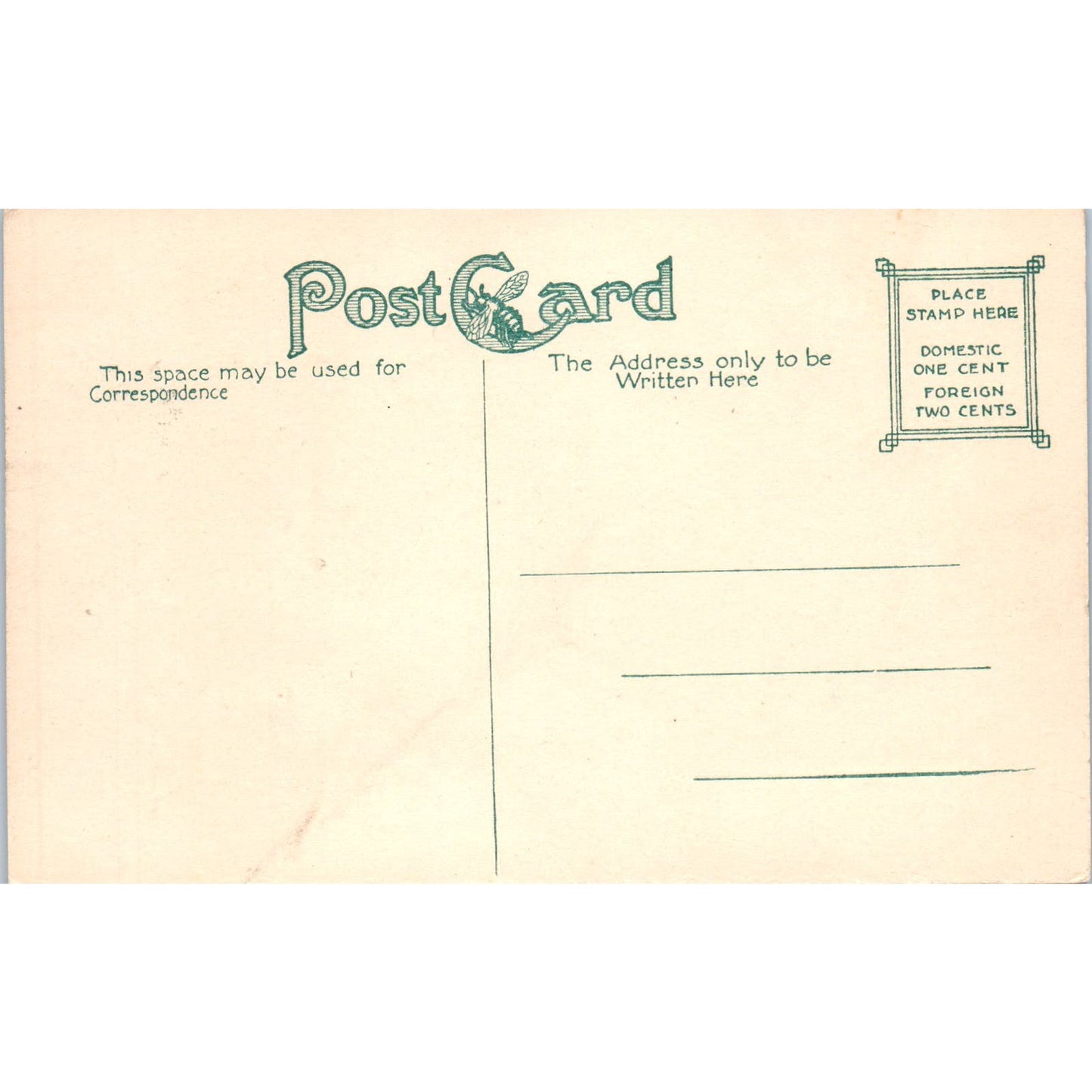 c1910 Portrait of the Roosevelt Family Original Postcard PC10