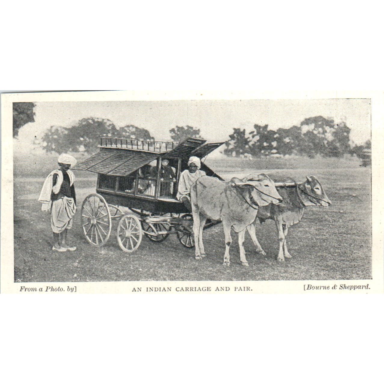 An Indian Carriage and Pair Bourne & Sheppard 1897 Victorian Photo AE9-TS7