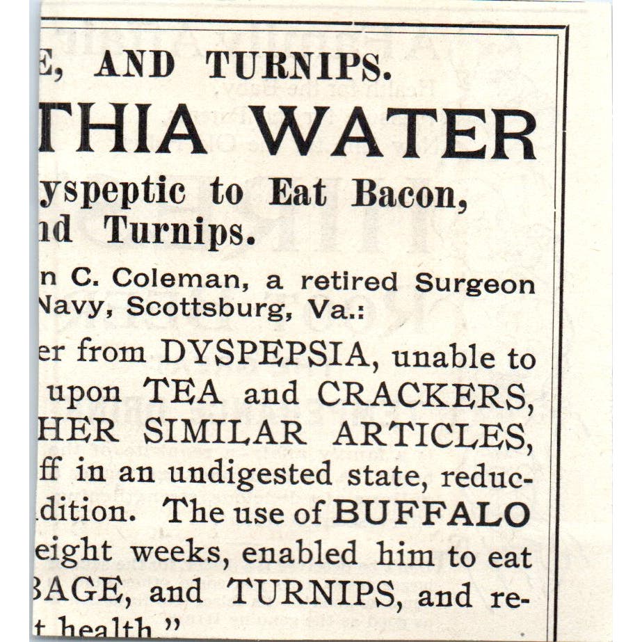 Hires' Root Beer The Great Temperance Drink c1890 Victorian Ad AE8-CH10