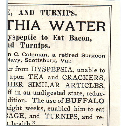 Hires' Root Beer The Great Temperance Drink c1890 Victorian Ad AE8-CH10