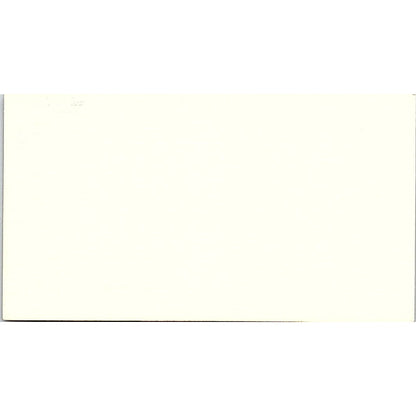 The Executive Consulting Group David L. Gandin Houston TX Business Card SF3-B8