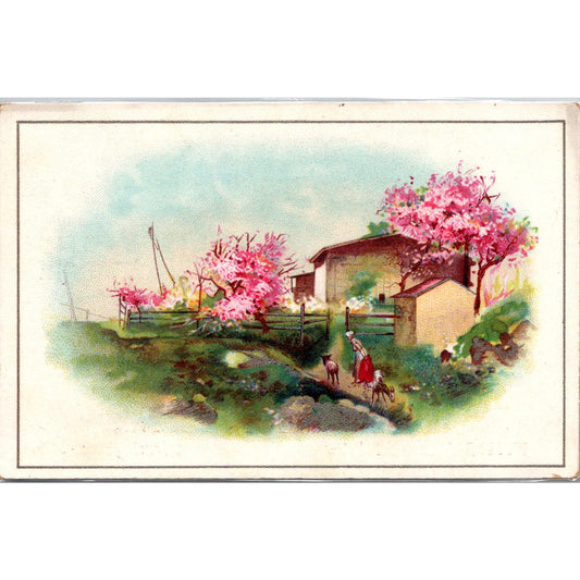 New Orleans Coffee Co Crittenden & Young Birmingham AL Antique Trade Card PQ1