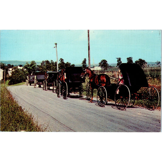 Mennonites Leaving Sunday Church Pennsylvania Dutch Country Postcard PD7