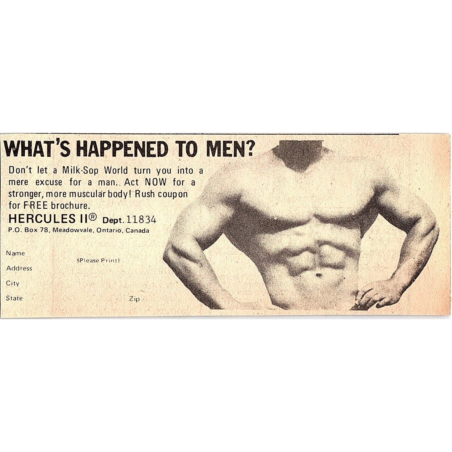 Gain Muscle - Hercules II - Meadowvale Ontario Canada 1974 Ad AG1-M8