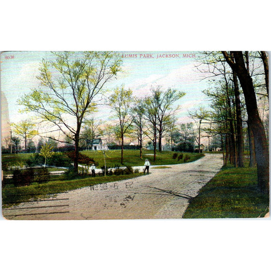 Lumis Park Jackson Michigan Vintage Original Postcard PD3