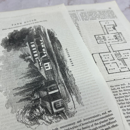1857 Original Article Rural Architecture Farmhouse & Floorplan C.M. Saxton D19