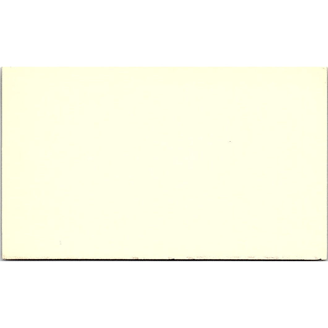 Shari Hatchett Acrylic Artist Sweeny Texas Vintage Business Card SE3-B11