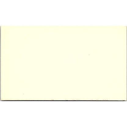 Shari Hatchett Acrylic Artist Sweeny Texas Vintage Business Card SE3-B11