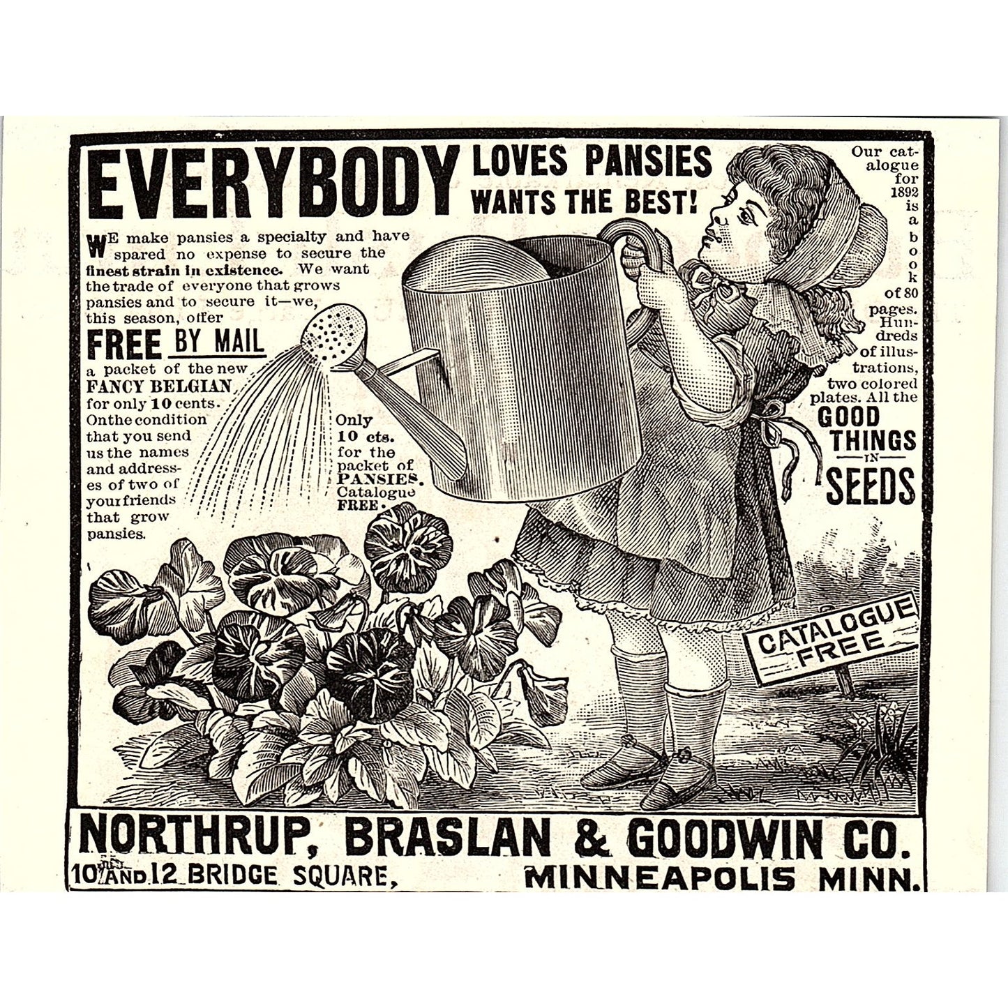 Northrup, Braslan & Goodwin Co Pansies Seeds Minneapolis MN 1892 Ad AG2-H5