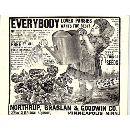 Northrup, Braslan & Goodwin Co Pansies Seeds Minneapolis MN 1892 Ad AG2-H5
